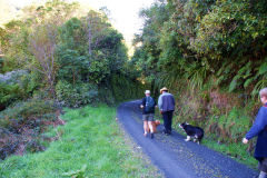 
Summit to Ladle Bend trackbed, September 2009